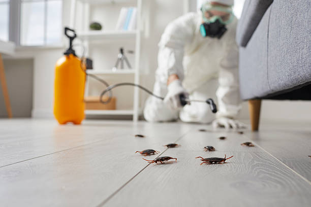 Trusted Cockroach Control service in Selmont-West Selmont, AL - Nex Pest Control