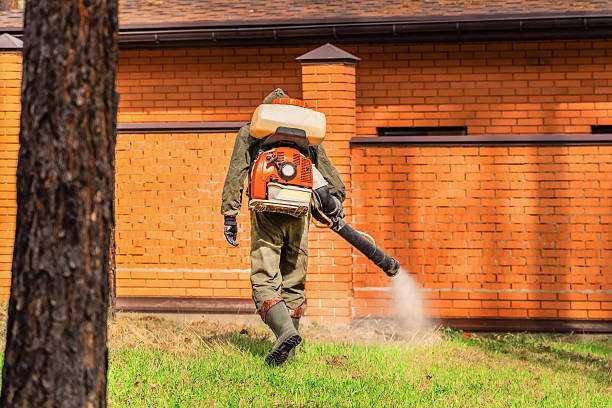 Trusted Bed Bug Control service in Selmont-West Selmont, AL - Nex Pest Control